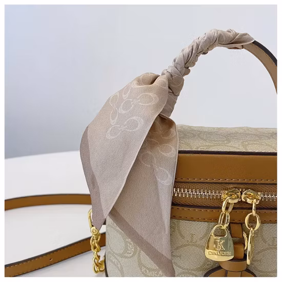 (WDL7369) Bolso de mujer Bolso de señora Bolso de mujer Bolso de diseñador Bolsos de moda Bolso al por mayor Bolso de réplica Bolso OEM/ODM